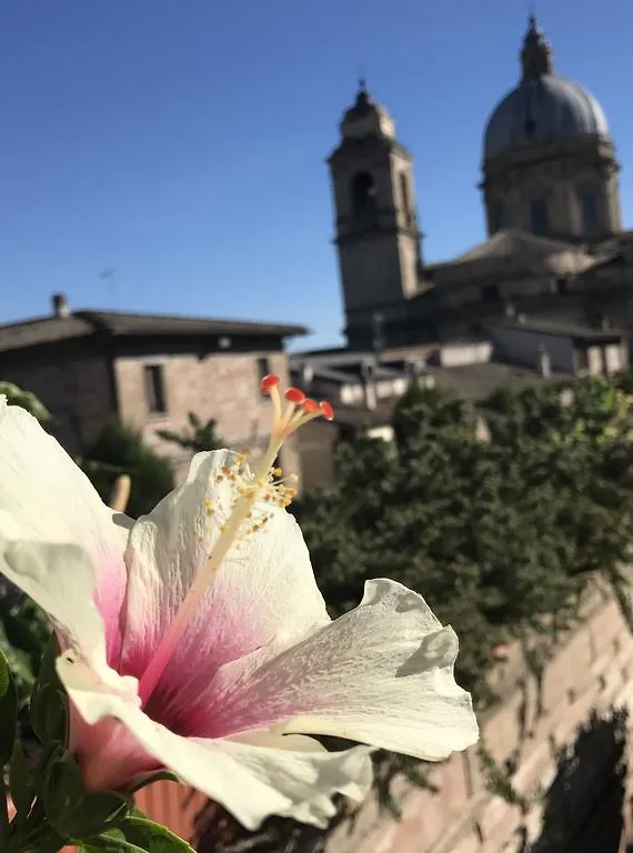 Camere Il Cantico Assisi
